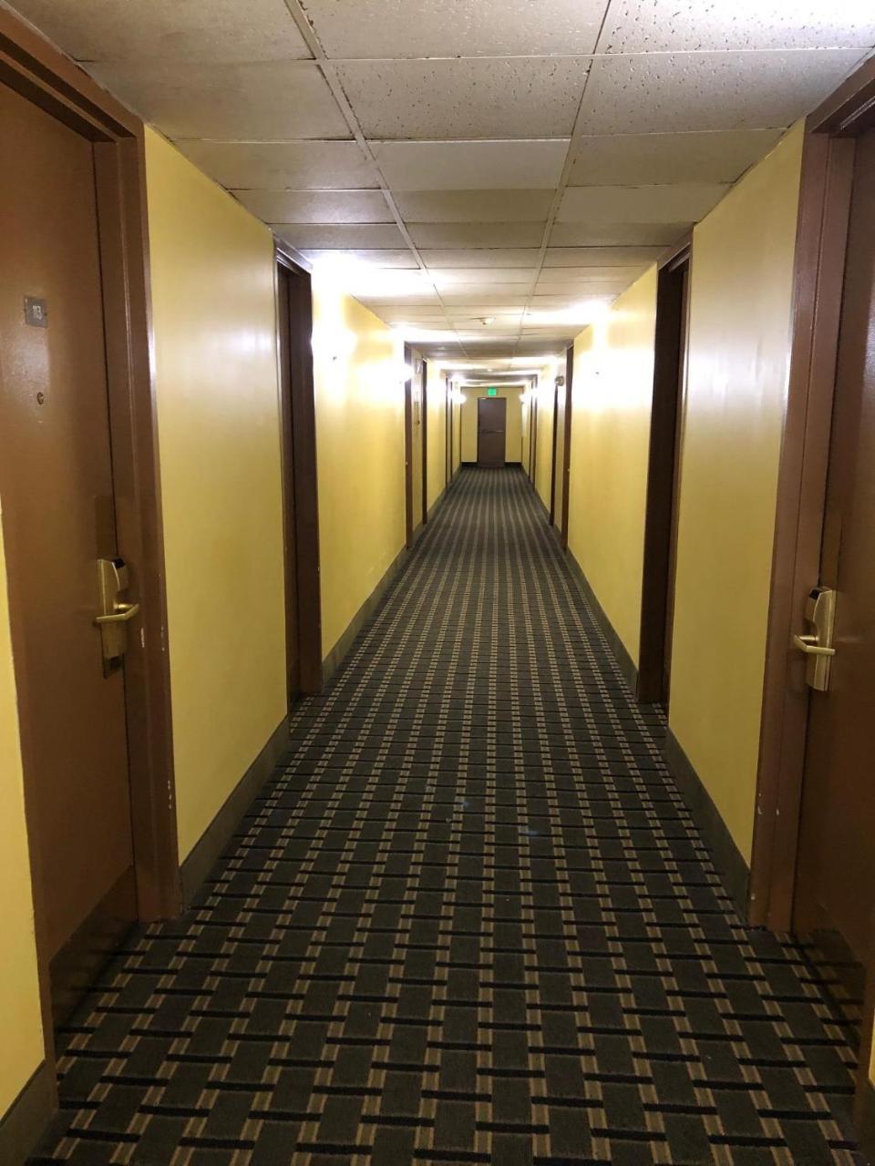 Honeyspot Motor Lodge Stratford Exteriér fotografie